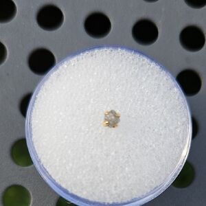 Queztalli Precious Love